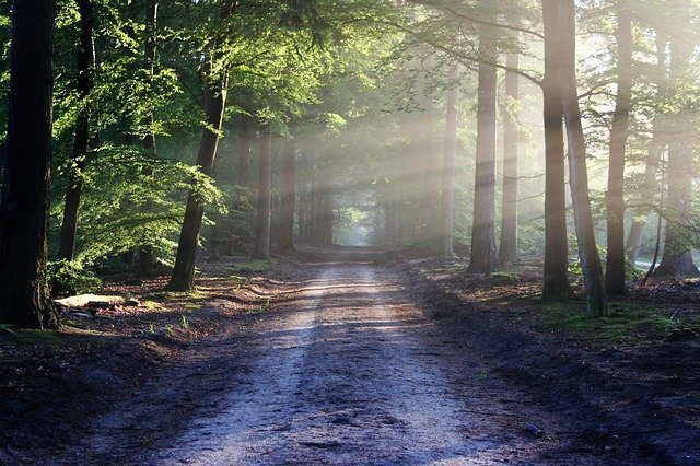 pathway